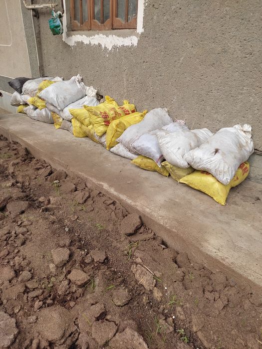 Қўй гўнги бепул бепул