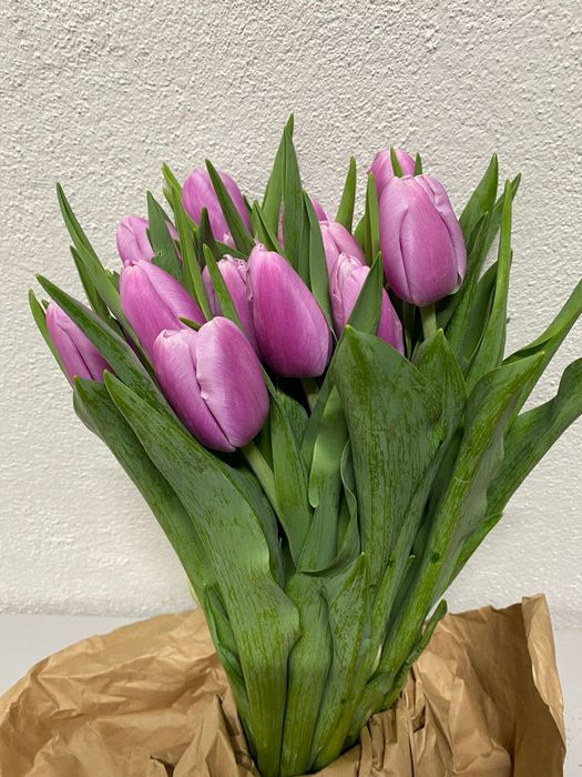 Гүлдер сатылады Продается Цветы