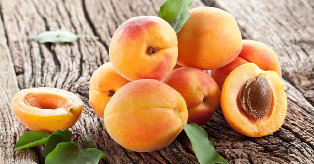 Свежая, сушеная, замороженная, сублимированная сельхозпродукция.