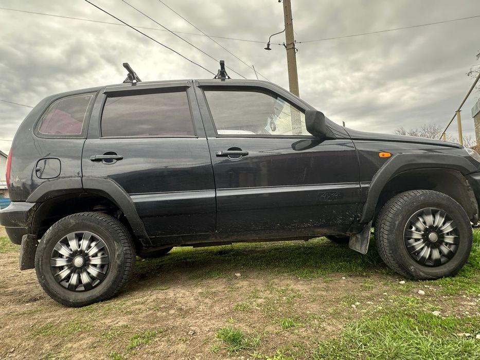 Шнива живая ездиет