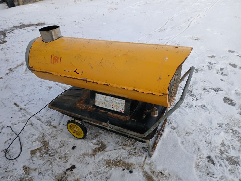 Жейсет коллалифер  бу