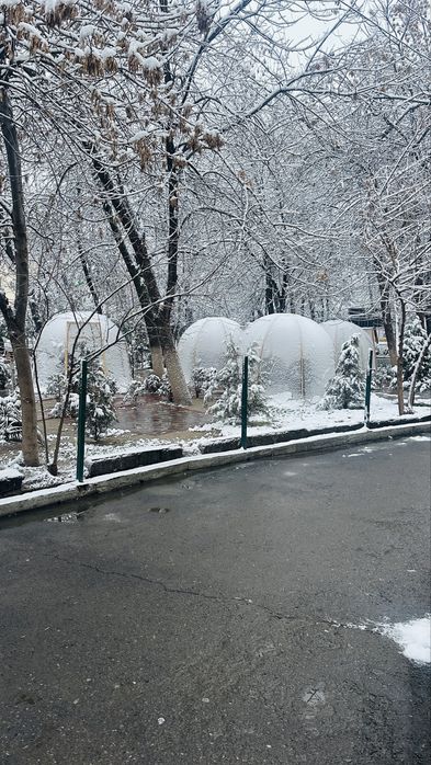 Tayyor kapsulalar sotiladi.