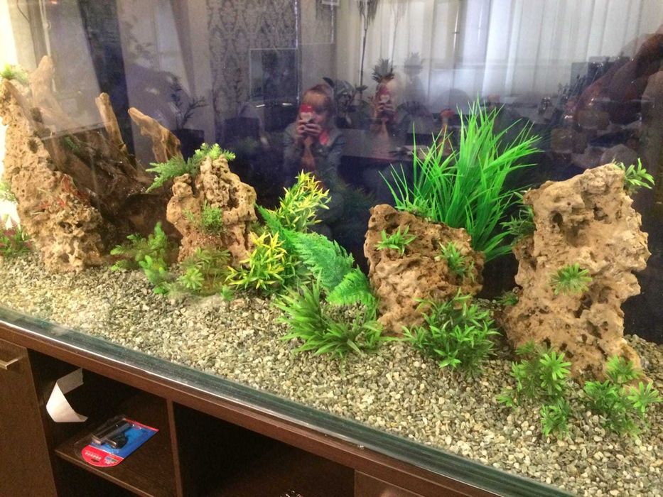 Аквариум вашей мечты «под ключ»