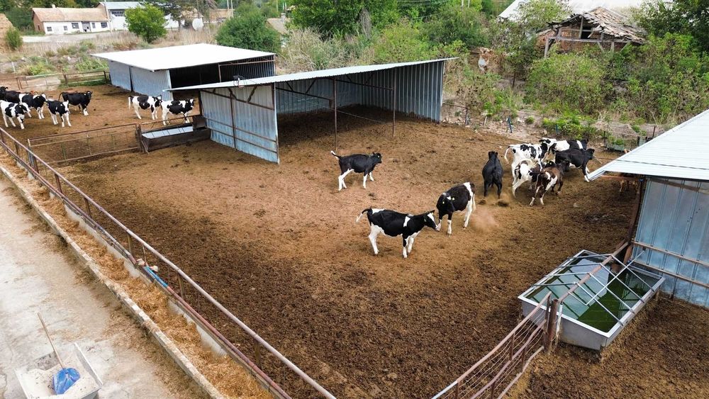 Продава се Промишлена сграда в Добрич, Дружба 3 - 1500 кв.м за 334 €/кв.м - Снимка #3