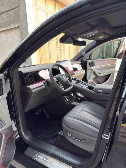 Denza N9 Full dopopsiys