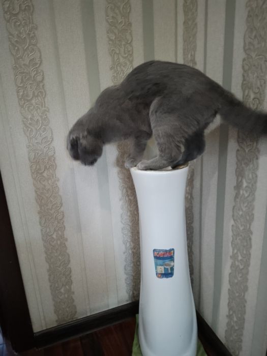 Подставка под раковину б/у