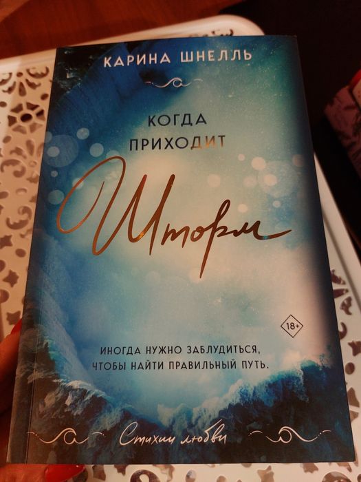 Карина Шнелль- книги Шторм и Ночь