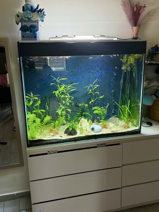 Acvariu 100L x 40A x 80Î
