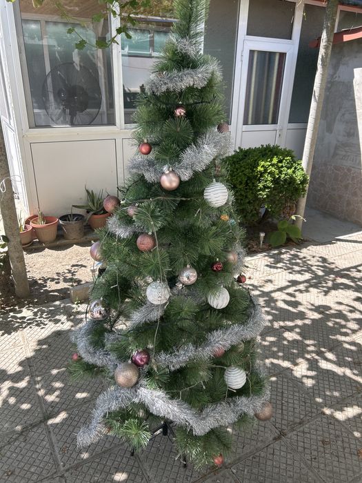 Новогофдишна Елха