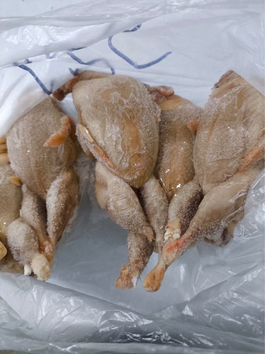 Мясо птицы . Перепелки