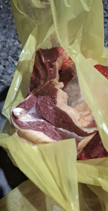 Мясо конины с фермы