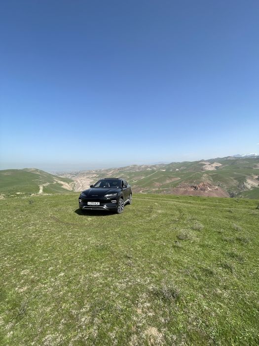 Водитель со своим авто BYD CHAMPION