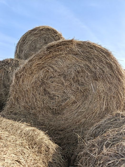 Продам тюки разнотравие