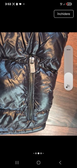 Vesta lucioasa neagra