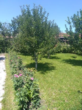 Продам дом, гараж, баню, времянку.