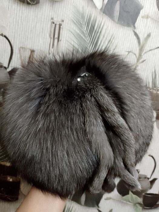 Шапка чернобурка