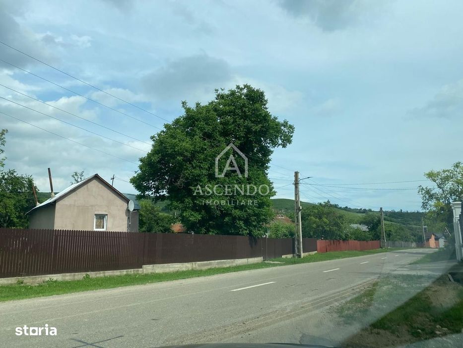 Domeniu 15.900 mp în Fințești | Casă + Investiție Dealu Mare
