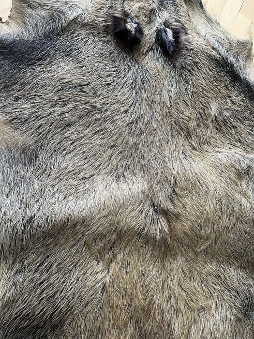 Кожа от Глиган Диво прасе