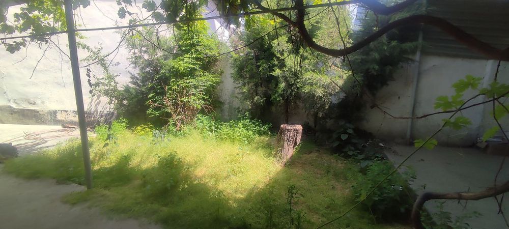 Участка Сотилади 3 Соток