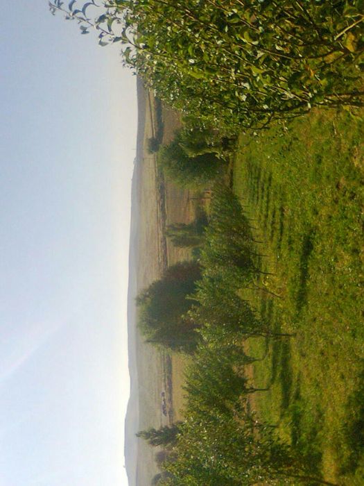 Ферма сотилади – Чорвачилик учун ажойиб жой!