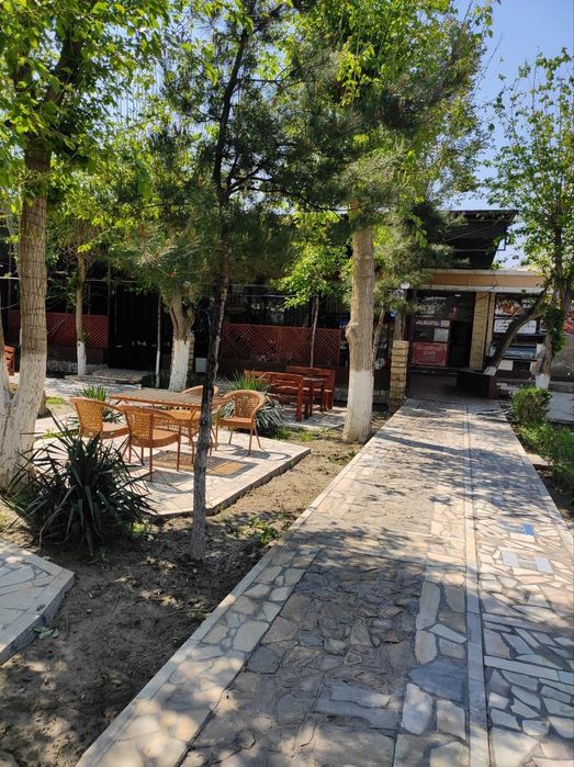 Kafe Majnuntol ijaraga beriladi