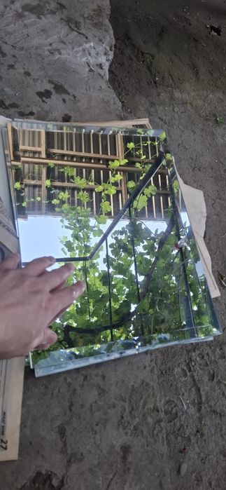 Зеркало ойна  сссс