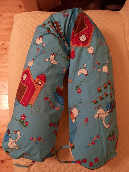 Perna cornulet gravida