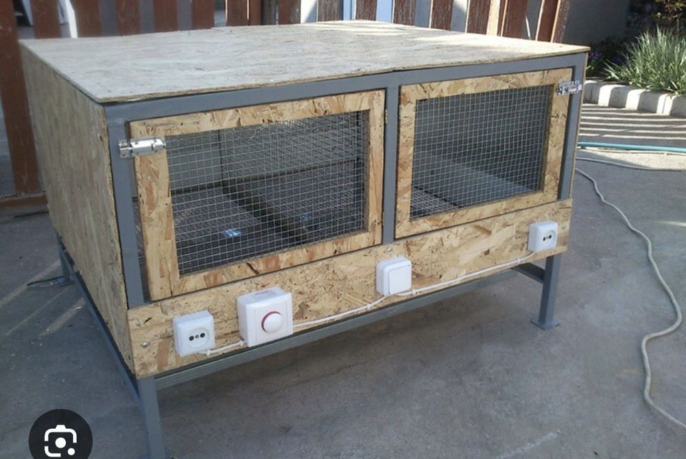 Брудер для цыплят