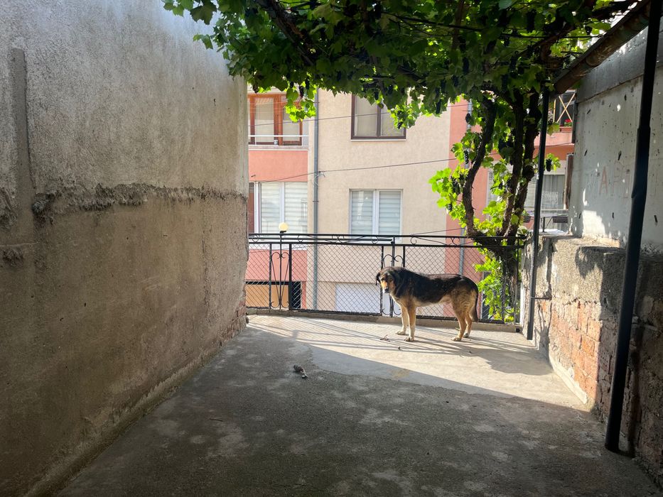 Продава се Къща в Дупница - 178 кв.м за 843 €/кв.м - Снимка #20