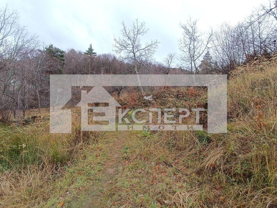 Продава се Парцел в с. Бойково, Област Пловдив - 992 кв.м за 30 €/кв.м - Снимка #4