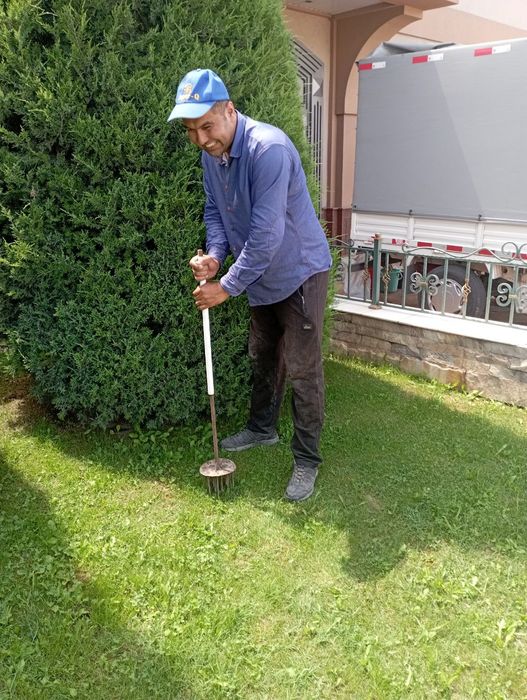 Lanshad dizayn abrezka mevali daraxtlar