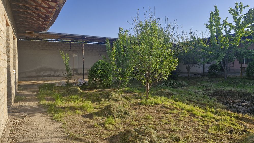 Участка сотилади 6 сотих