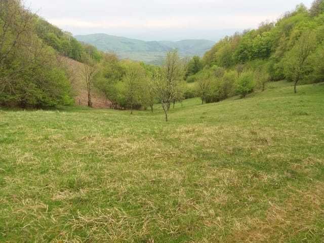 De vanzare aproape 3 Ha intr-o zona Climaterica, de o frumusete aparte