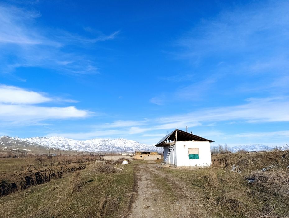 Срочно сотилади ферма Босталик районуда Таваксайда ферма яхши жойда