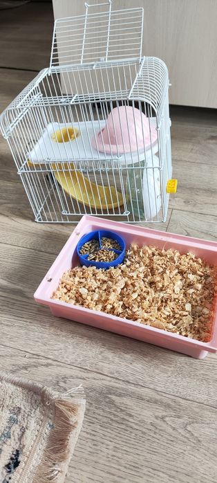 Продам хомяк хороши мама и сын