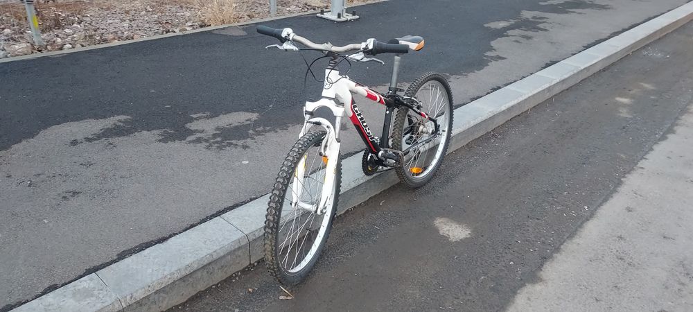 Bicicleta copii  pana in 14 ani.