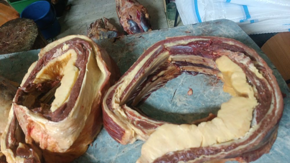 конины даставка бесплатно