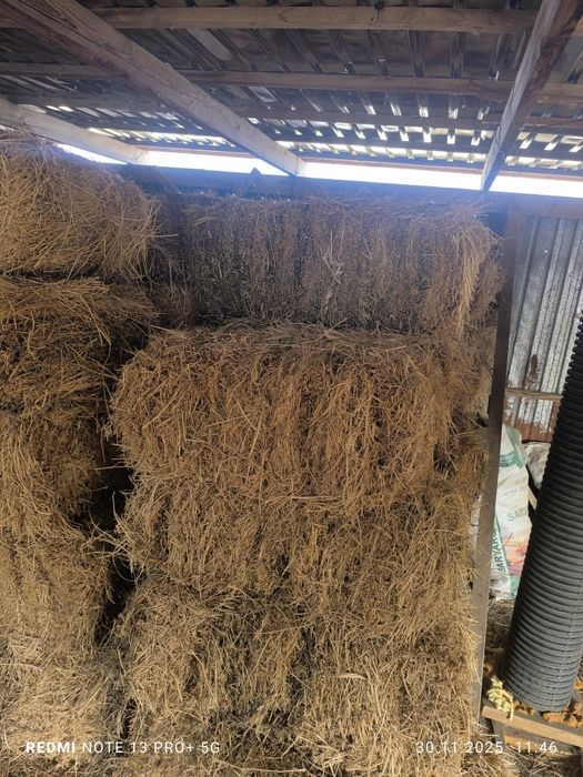 Жонышка 3-ши орым  1200