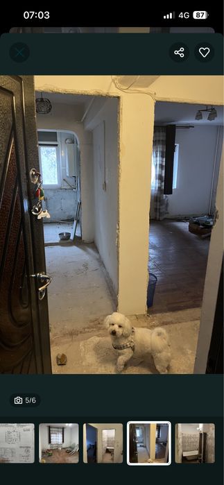 Vand gardoniera parter