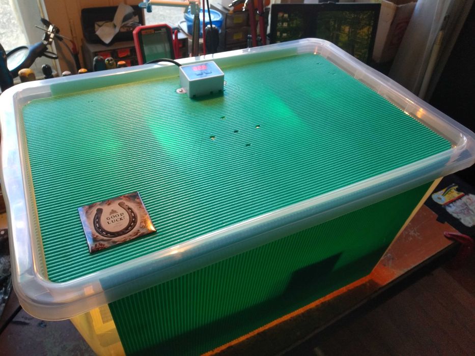 Инкубатори, инкубатор , български - Борисов