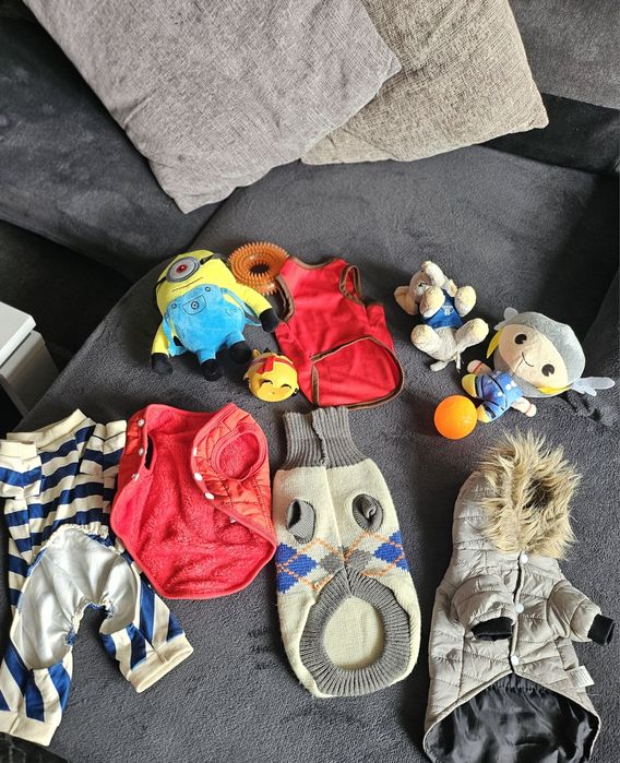 Кучешки дрешки и аксесуари