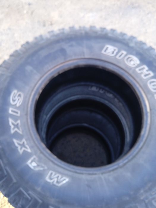 Продам ризину на докат