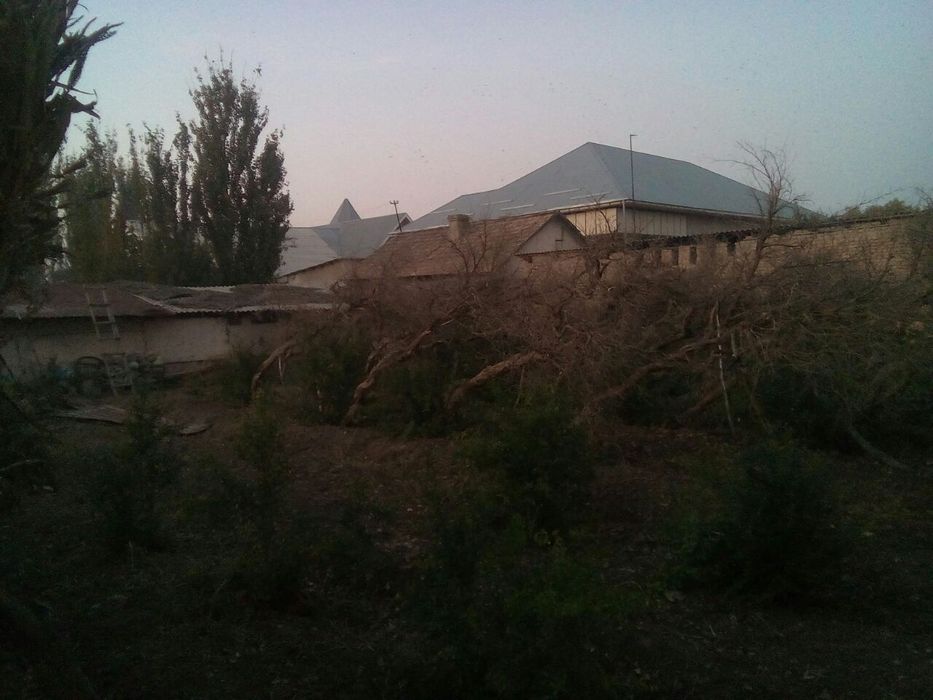 O'tin srochna sotiladi