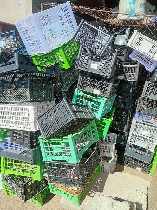 Ящики пластиковые