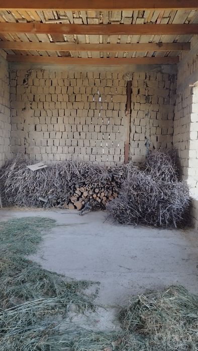 Òtin srochni sotiladi narxi 2,500000