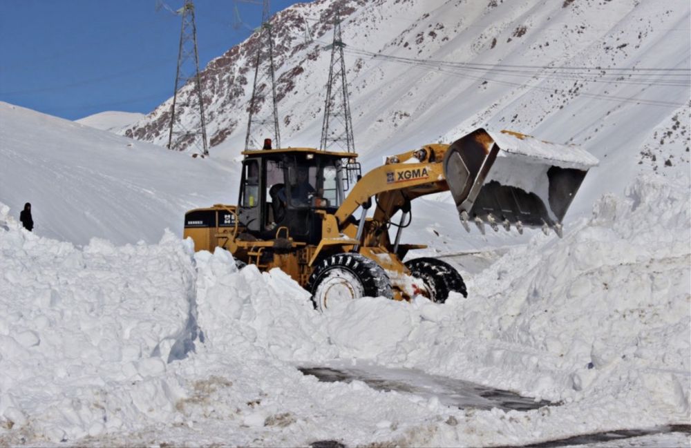 Услуги погрузчика