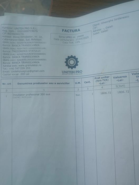 Clocitoare 300  ouă