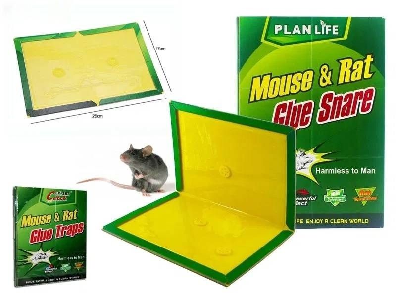 5бр х Капан с незасъхващо силно лепило без Мирис за мишки и плъхове GL