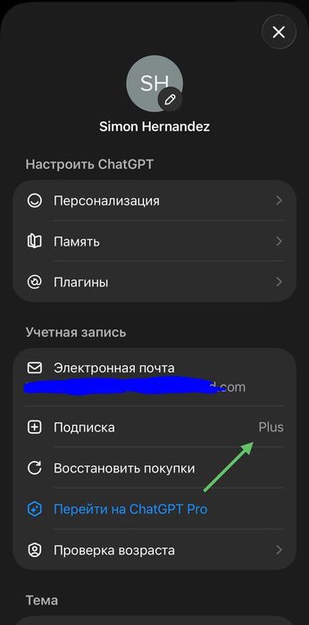 ChatGPT Plus – 1 месец | CODEX