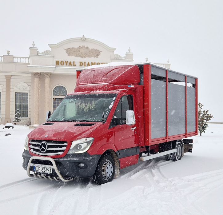 Mercedes sprinter 519 transport animale  518 516 iveco daily 35c15 35c